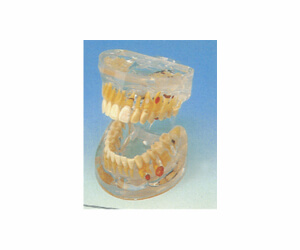 BioLab Products